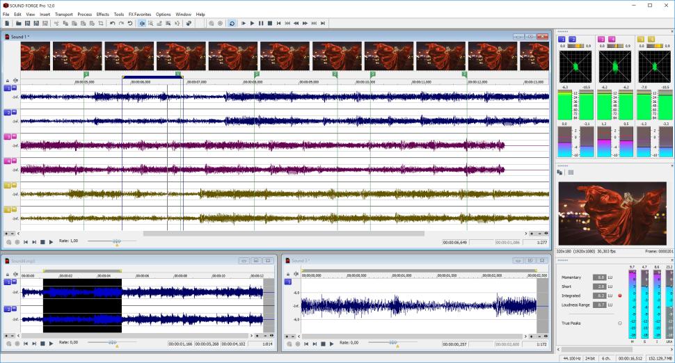 MAGIX SOUND FORGE 12 Pro