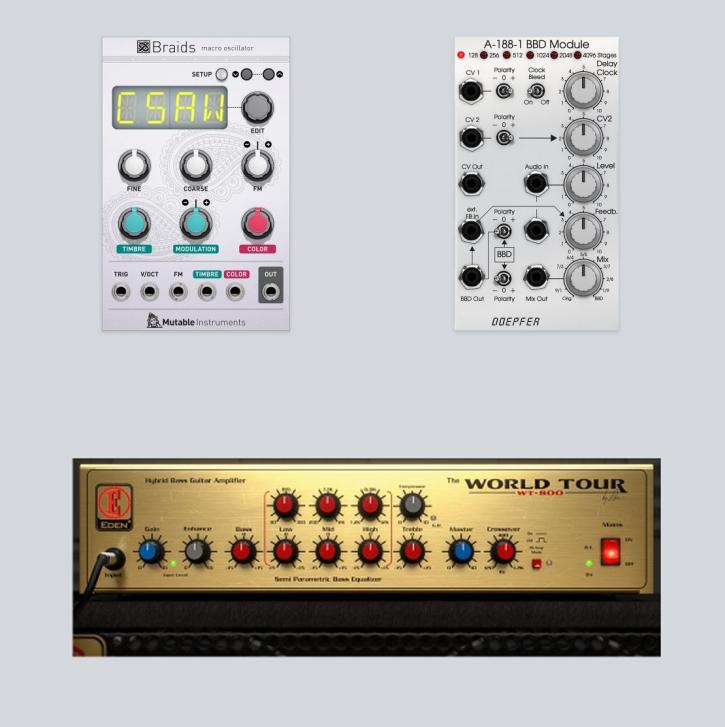 Eden WT-800 Bass Amp, Mutable Instruments Braids und Doepfer BBD