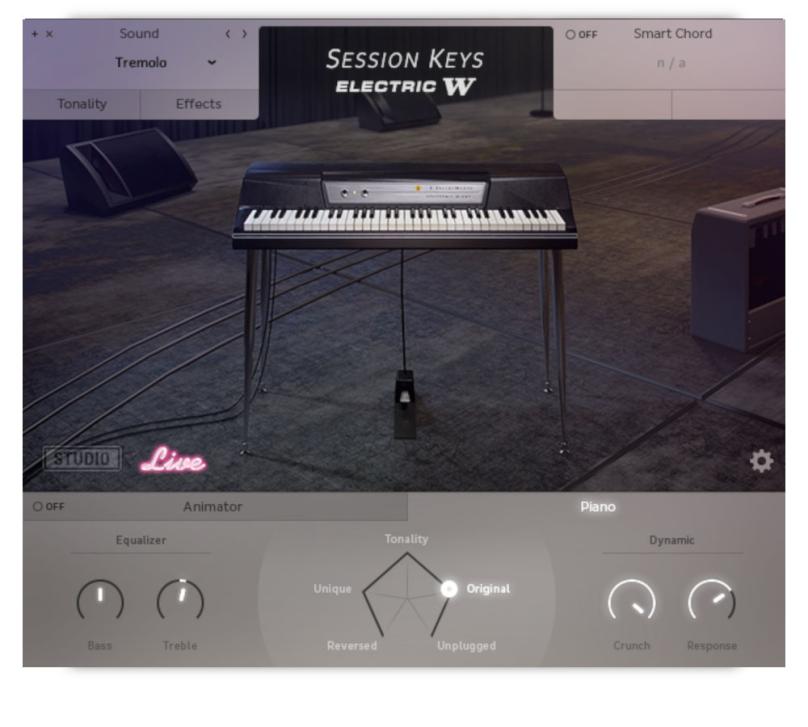 e-instruments Session Keys Electric W