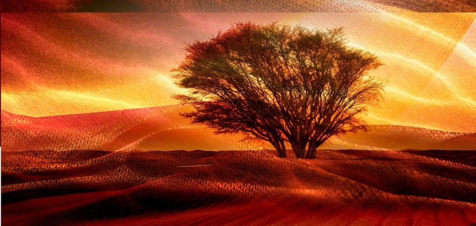 Native Instruments Aquarius Earth