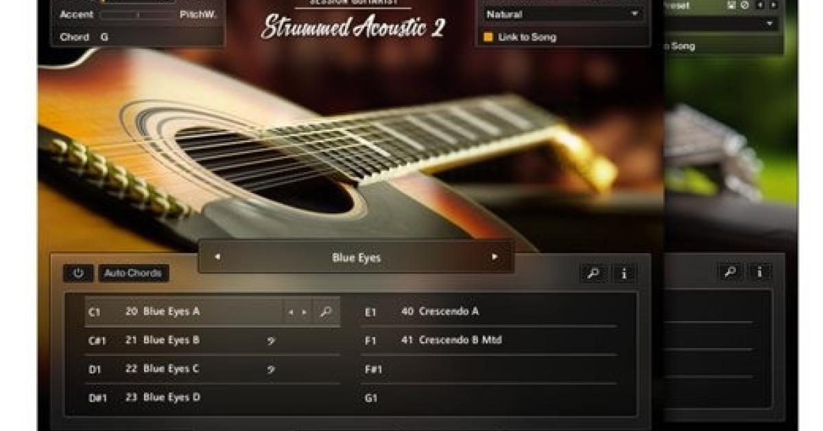 Native instruments session guitarist electric Native instruments session guitarist electric