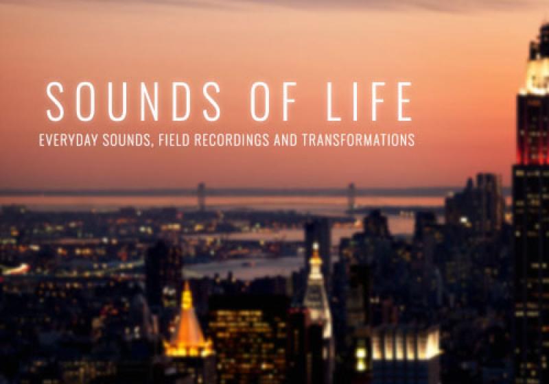 Ocean Swift Synthesis