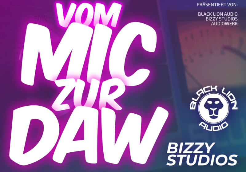 Bizzy Studios, Audiowerk