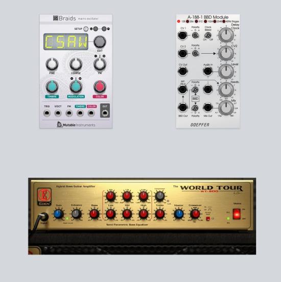 Eden WT-800 Bass Amp, Mutable Instruments Braids und Doepfer BBD Softube