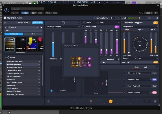 Roli Studio Player Roli