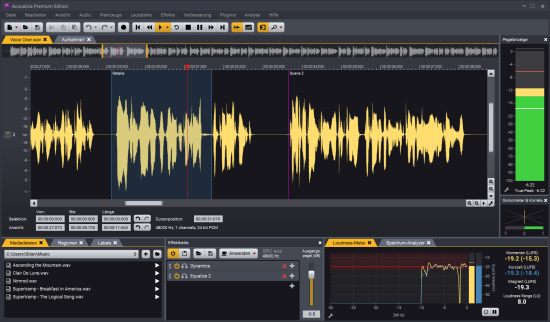 Erfahren Sie, welche neuen Features das Acoustica Update mit sich bringt, was der Audioeditor kann und für wen er geeignet ist. Acon Digital